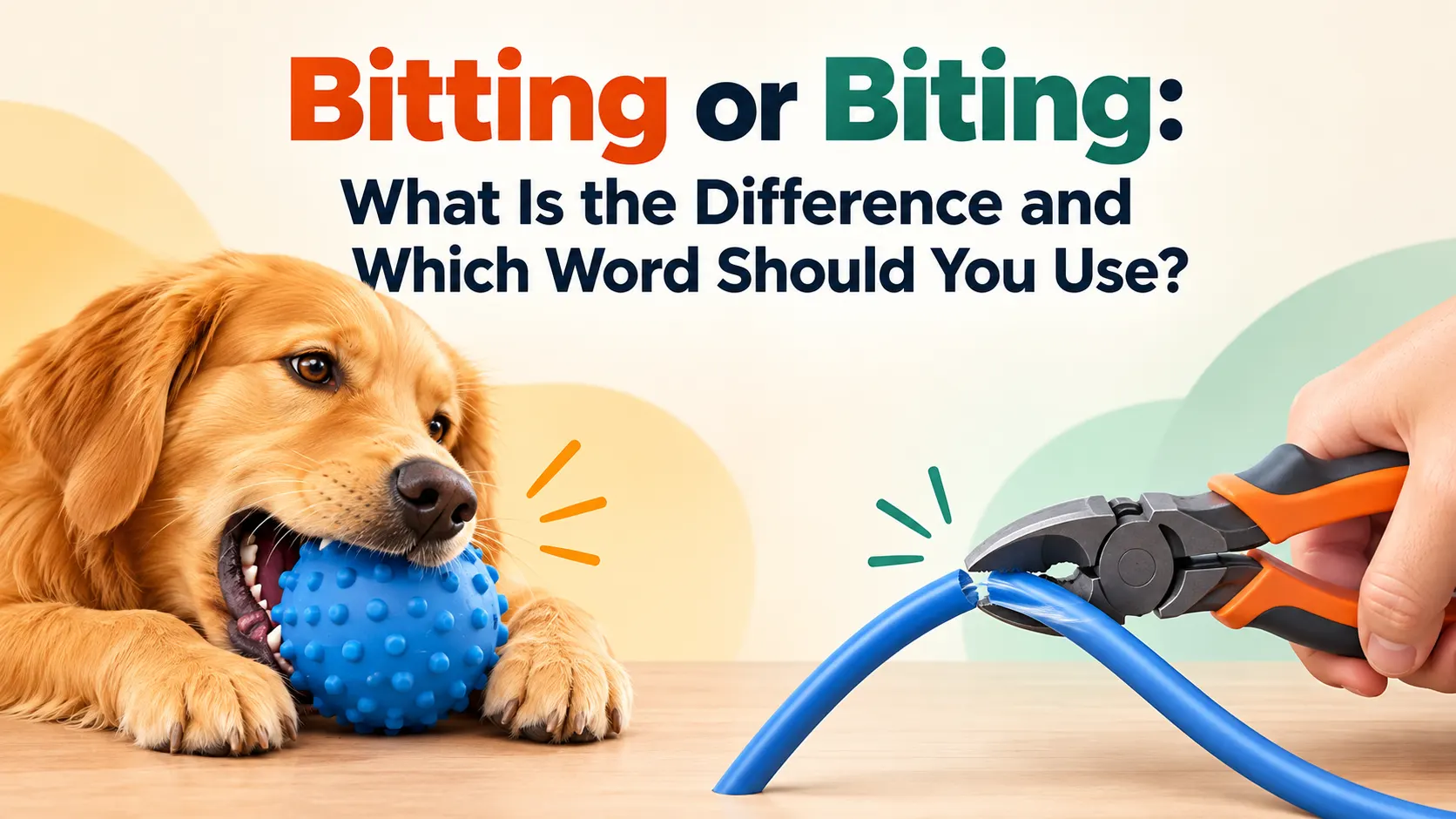 Bitting or Biting: What Is the Difference and Which Word Should You Use?